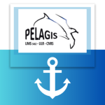 Team Maritime : Audition de Pelagis