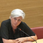 🍃 Commission du Développement durable : audition des représentants de l’Institut de l’économie pour le climat