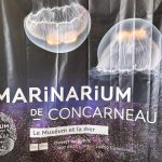 Fête de la Mer et des Littoraux : visite de la station marine de Concarneau