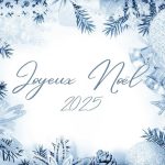 Excellentes fêtes à toutes et à tous ! ✨